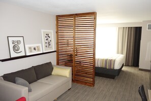 스튜디오 스위트, 킹사이즈침대 1개, 금연 | 오리/거위털 이불, 책상, 암막 커튼, 다리미/다리미판