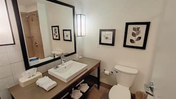 A modern bathroom with a large mirror, a white sink, a toilet, and framed botanical prints on the wall.