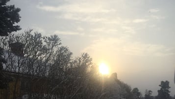 A snowy landscape with a sun setting behind trees.