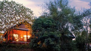 Een rustieke blokhut met houten gevel en een veranda, omgeven door weelderige begroeiing en een kabbelende beek.