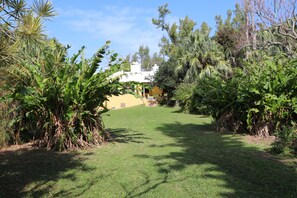 A pathway leading to a building surrounded by dense tropical vegetation. - Belfield Beach Estate (Sandys Parish)