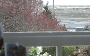 View from property - The Foxberry Inn (Provincetown)