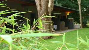 Un bâtiment avec un grand arbre au premier plan et un espace extérieur abrité avec des sièges à l’arrière-plan.