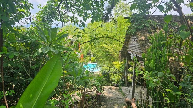 Un sendero de piedra que lleva a una piscina rodeada de exuberante vegetación y un edificio rústico.