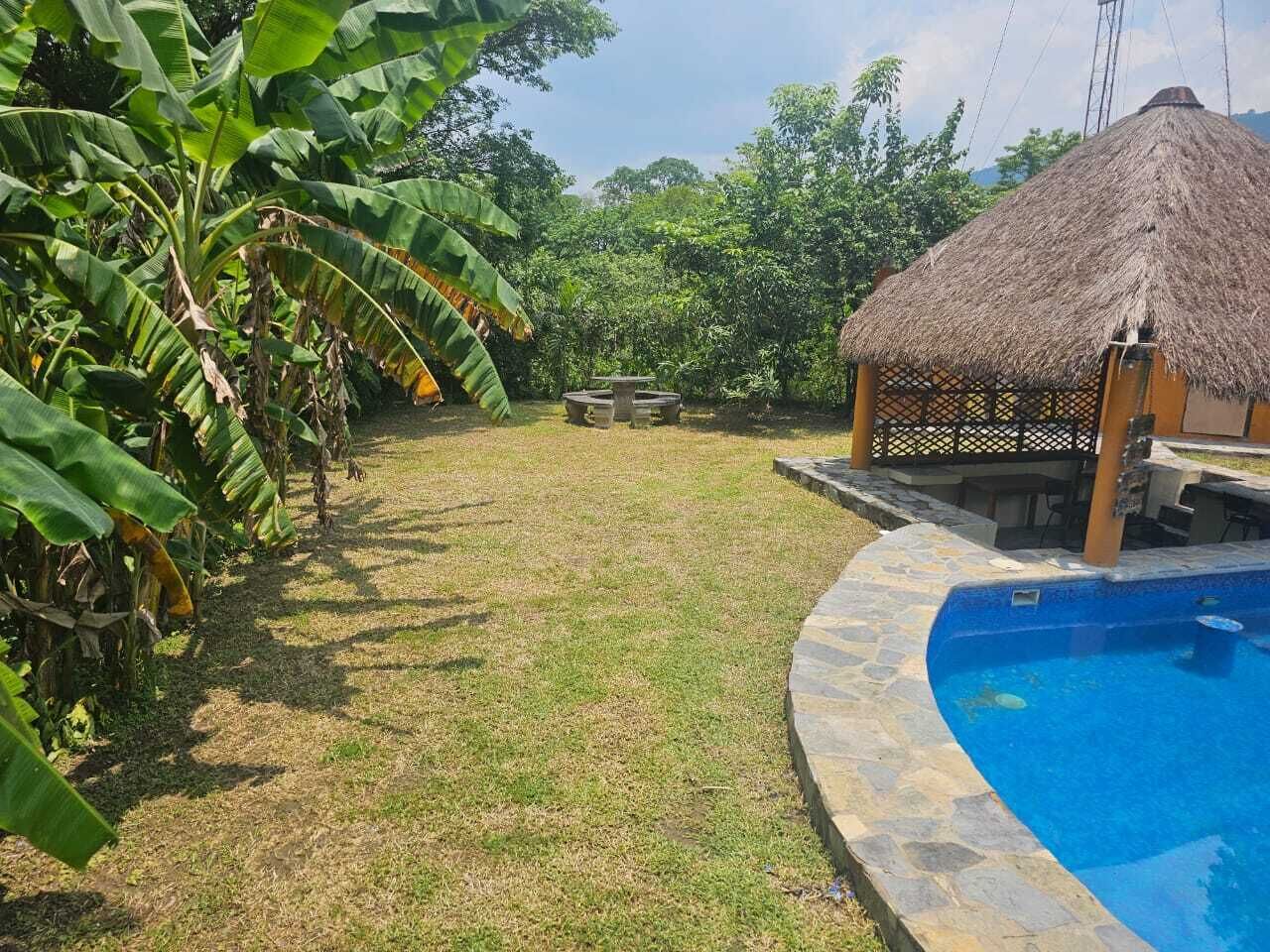 A backyard with a swimming pool, a thatched-roof structure, and lush greenery.