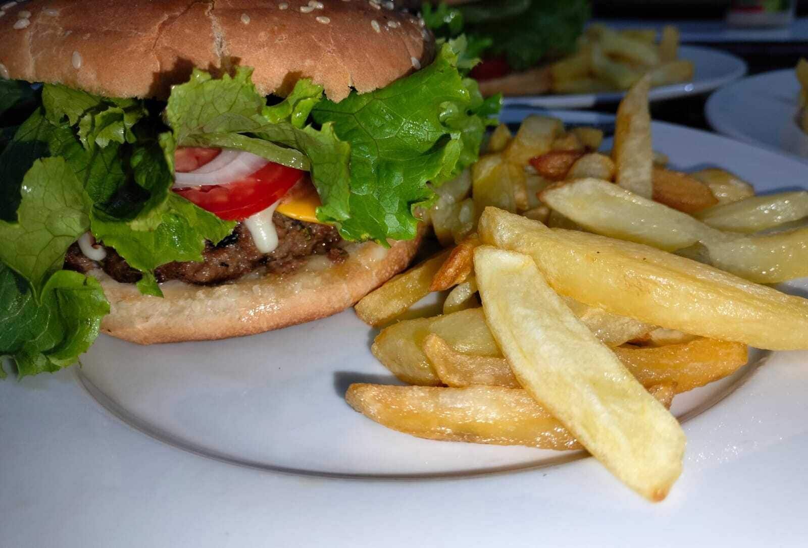 A plate with a hamburger and French fries.