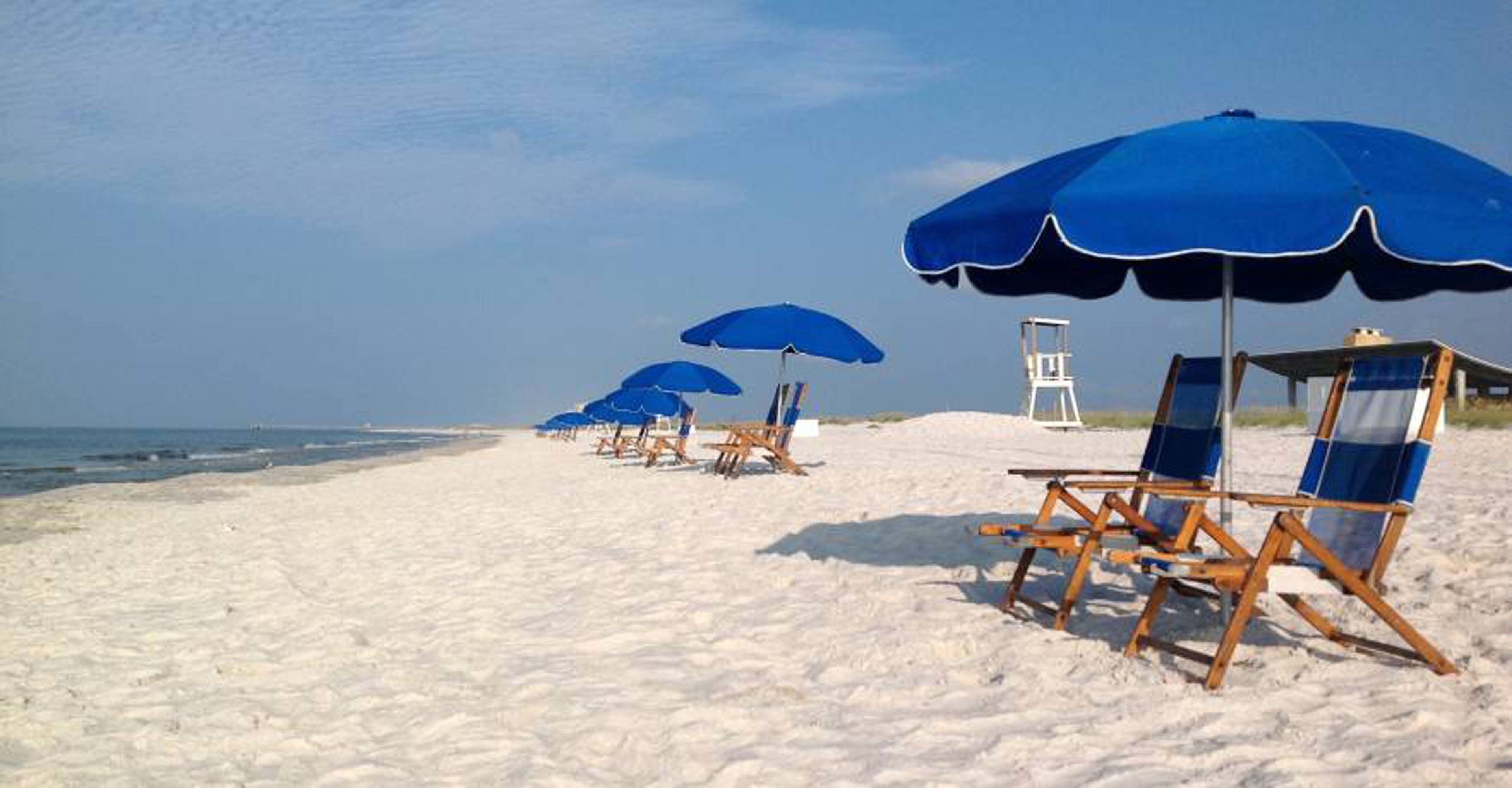 A beach with rows of blue umbrellas and beach chairs.