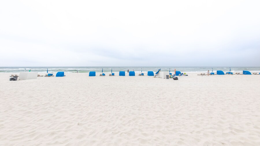 Tradewinds Condos by Hosteeva