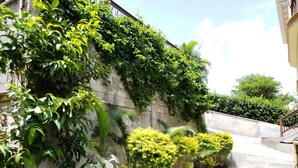 Un jardín con diversas plantas, incluyendo un muro cubierto de follaje y varios maceteros a lo largo de un sendero.