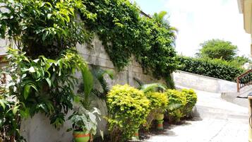 Standard Studio Suite, 1 King Bed, Balcony, Courtyard View | Vista cortile