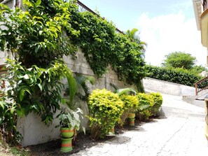 Standard Studio Suite, 1 King Bed, Balcony, Courtyard View | Courtyard view