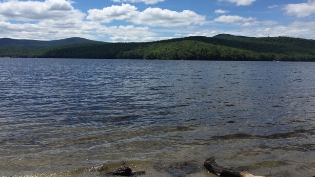 A lake with clear water, surrounded by green hills and a partly cloudy sky. - Upscale Mount Snow/Stratton Area w/Indoor Pool access, short drive to lakes  (West Wardsboro)