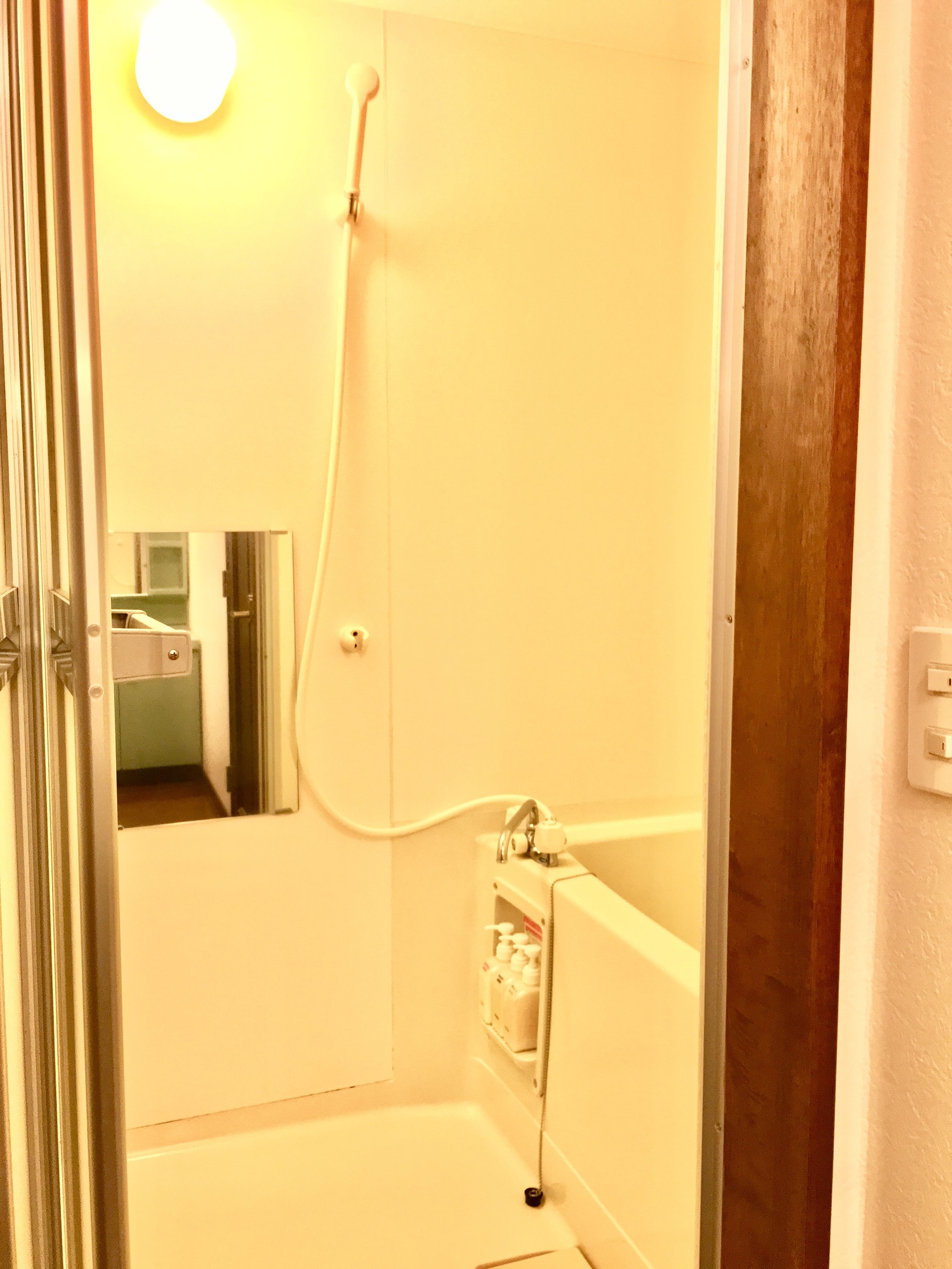 A bathroom with a shower, a bathtub, and a mirror.