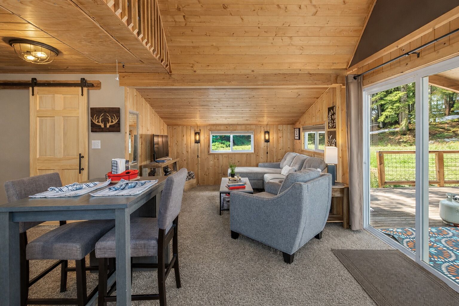 Smart TV, DVD player