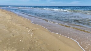 Une plage avec un ciel dégagé et des vagues calmes.