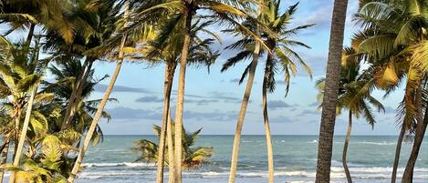 On the beach, sun loungers, beach towels