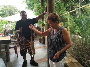 Fitness facility - Villa Palmar 3 bedrooms in beautiful Playa Azul just a jump away to the beach! (Luquillo)