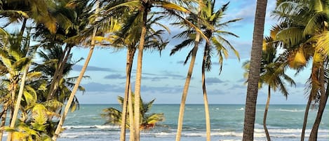Sulla spiaggia, lettini da mare, teli da spiaggia