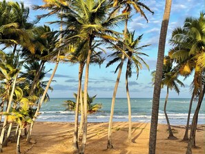 On the beach, sun loungers, beach towels
