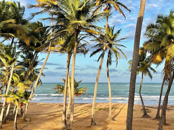 On the beach, sun loungers, beach towels