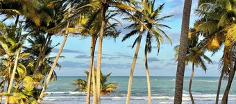 Villa Palmar 3 bedrooms in beautiful Playa Azul just a jump away to the beach!