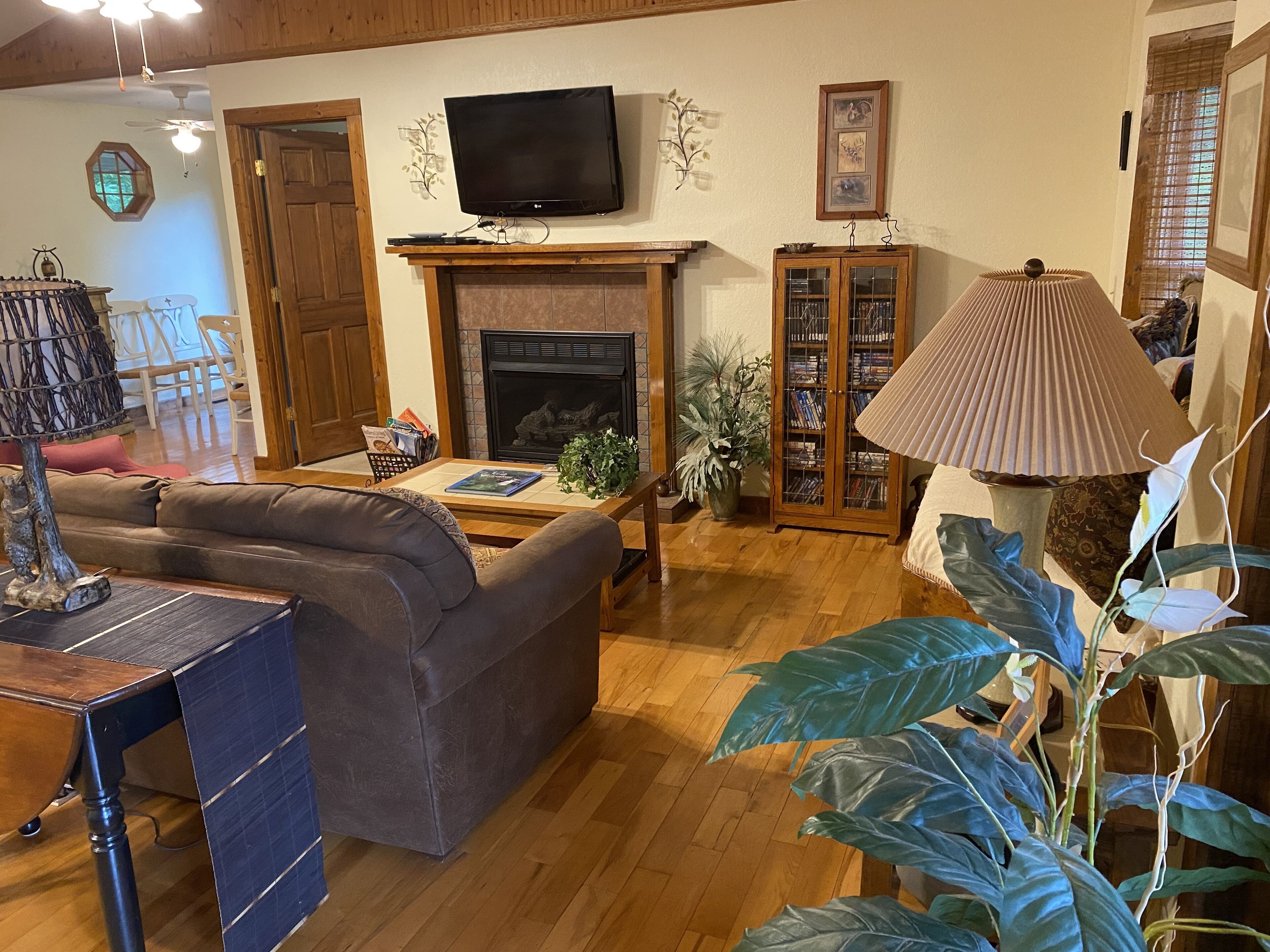 TV, fireplace, DVD player, books