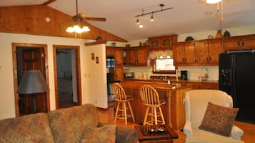 Televisión, chimenea, reproductor de DVD y libros