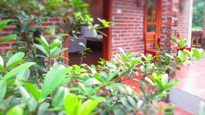 Een bakstenen gebouw met een rode deur en een kleine tuin met planten in potten.