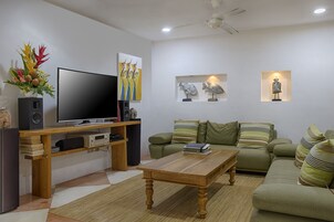 TV de tela plana, DVD player