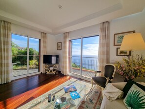 Una televisión, un reproductor de DVD, libros, un reproductor estéreo