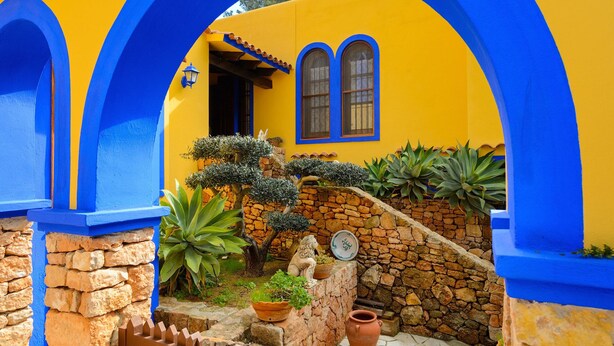 A courtyard with a stone wall, potted plants, and a rustic wooden gate.