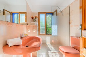 Shower, jetted tub, hair dryer, bidet