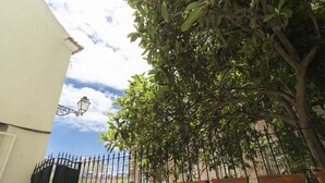 Una calle bordeada de árboles con un edificio blanco, una reja de hierro negro y un farol.