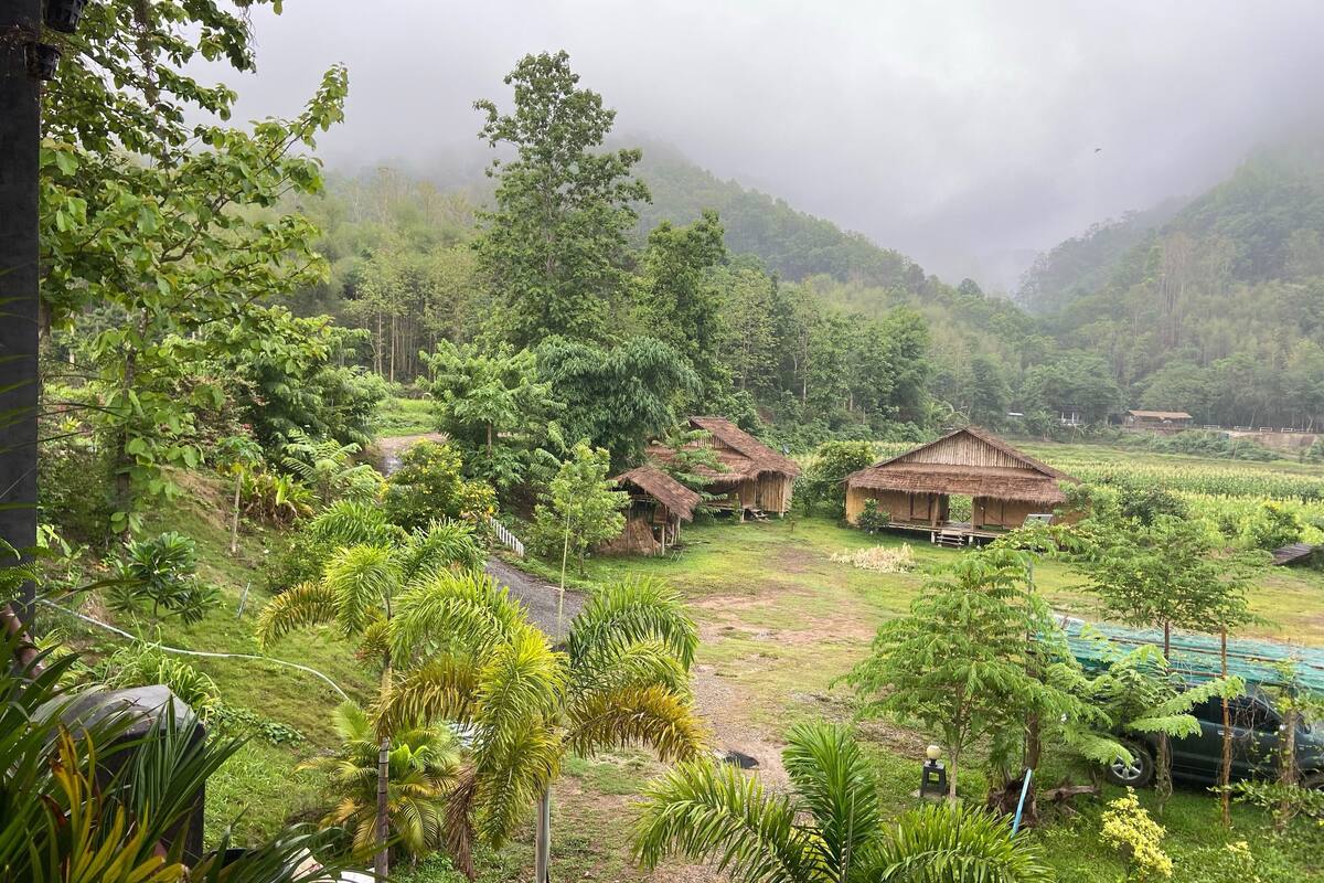 Mountain view