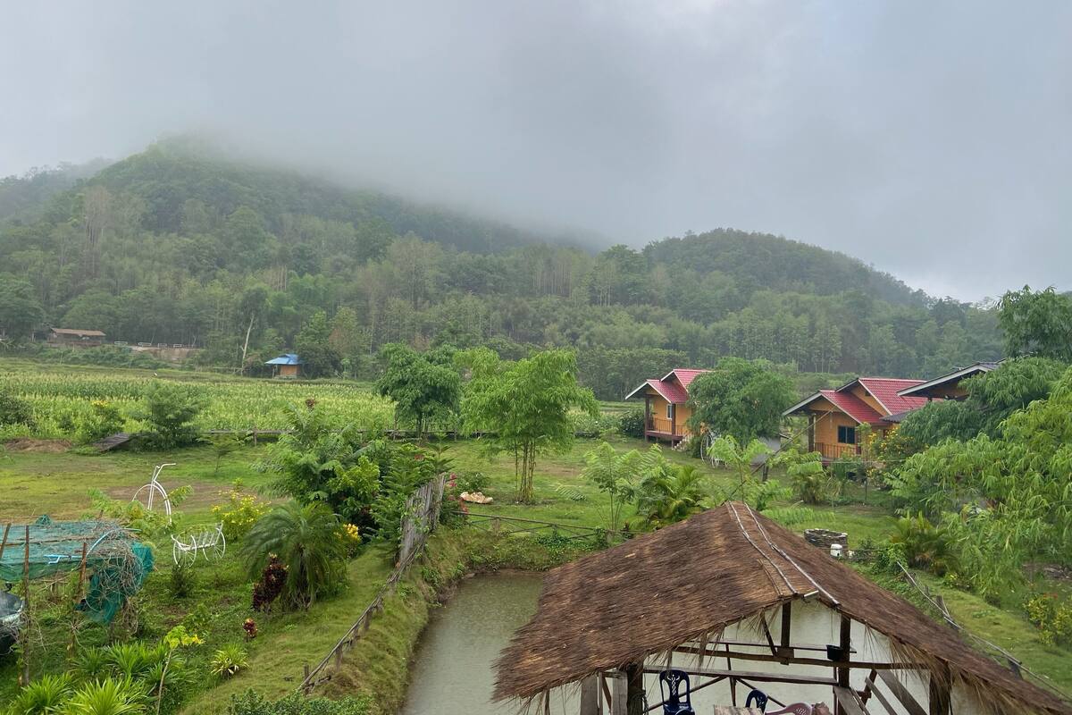 Mountain view