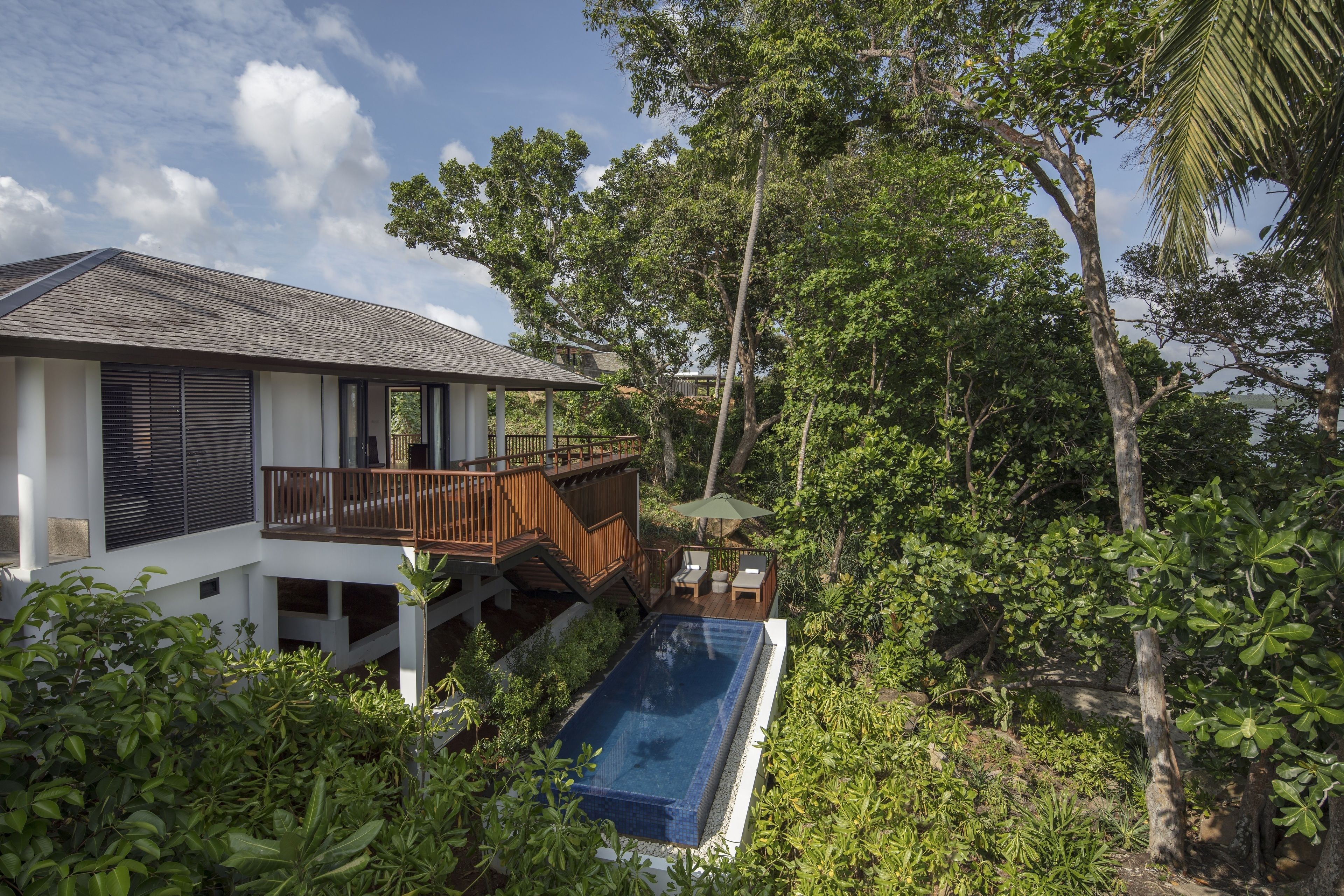 A modern house with a swimming pool surrounded by lush greenery.