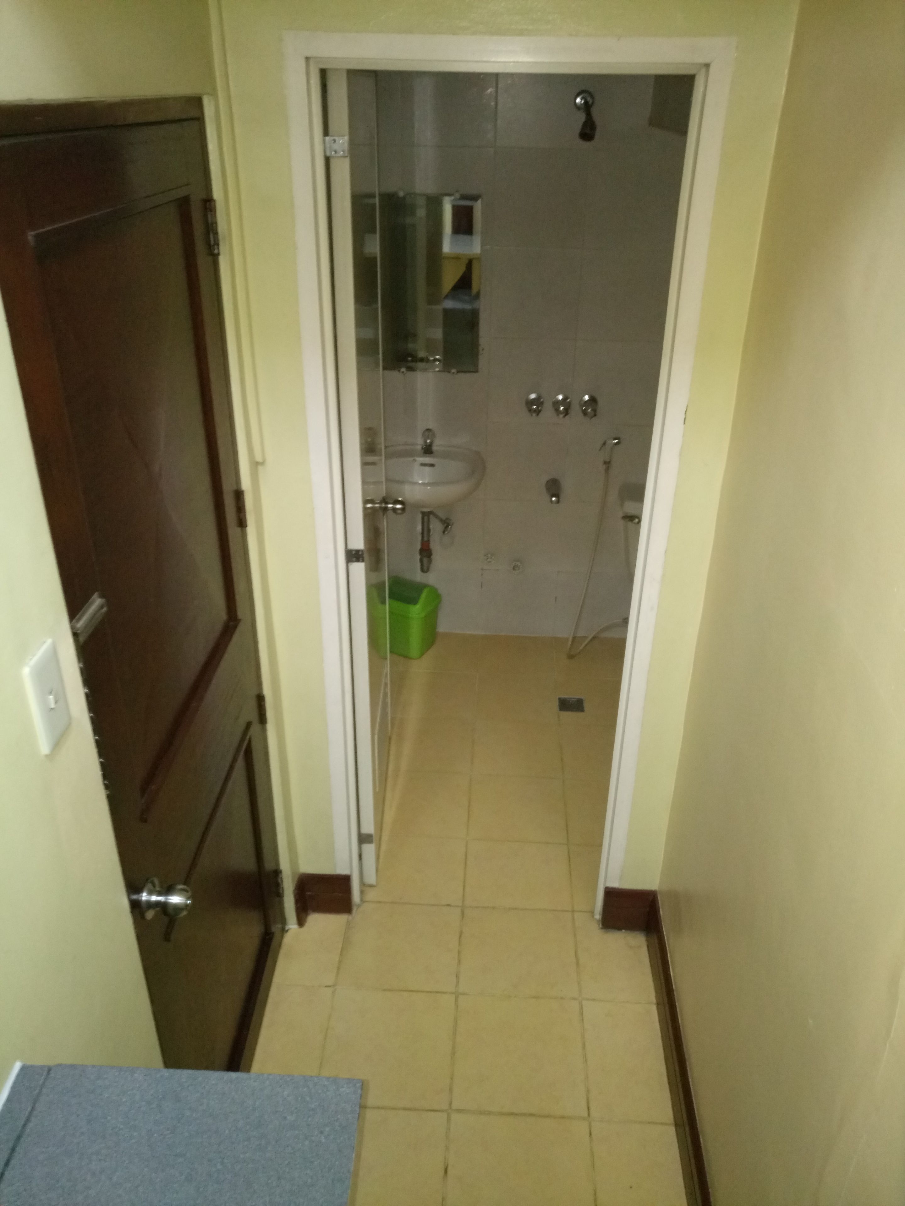 A narrow hallway leading to a bathroom with a sink, mirror, and shower.