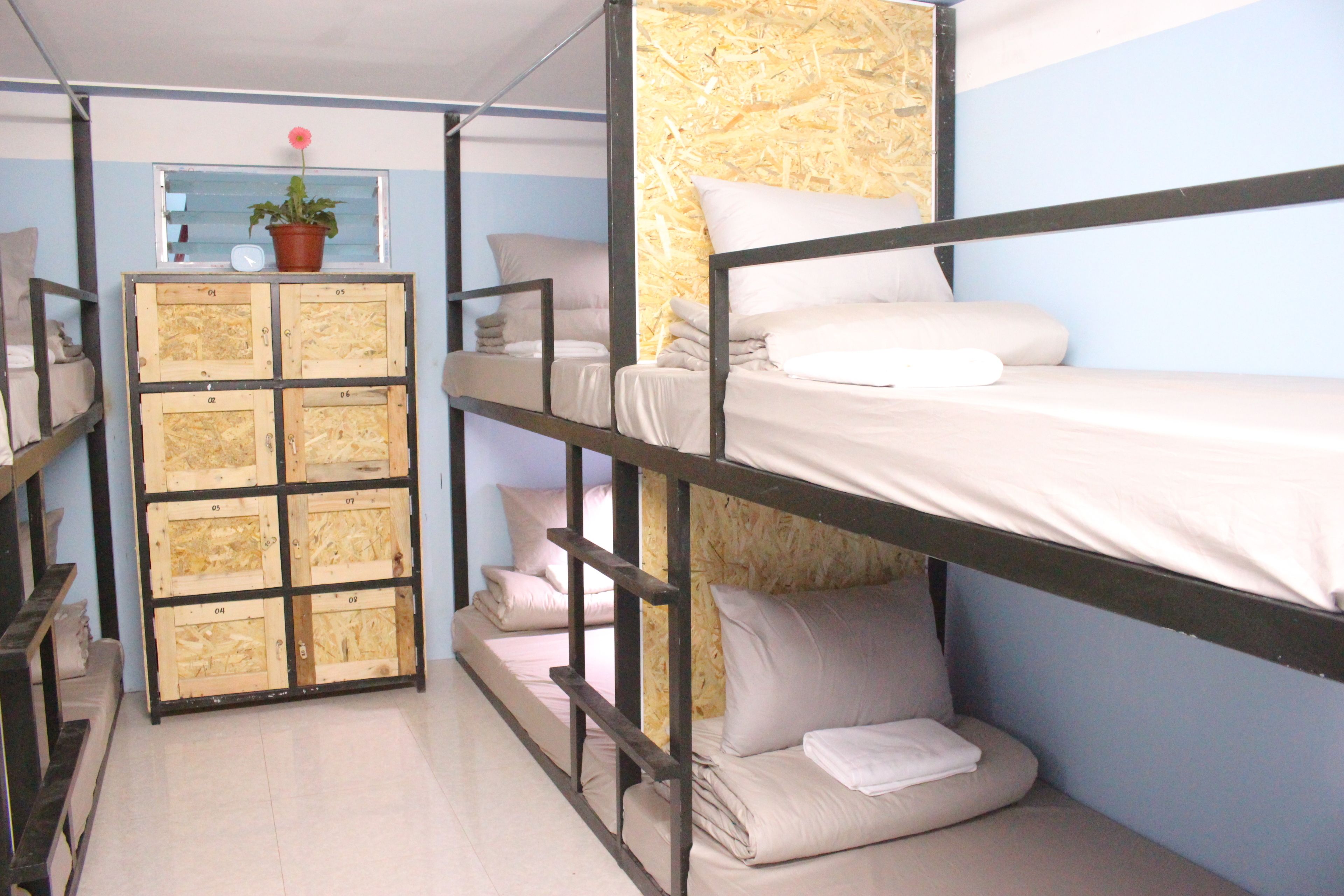 A bunk bed room with a wooden storage unit and a potted plant.