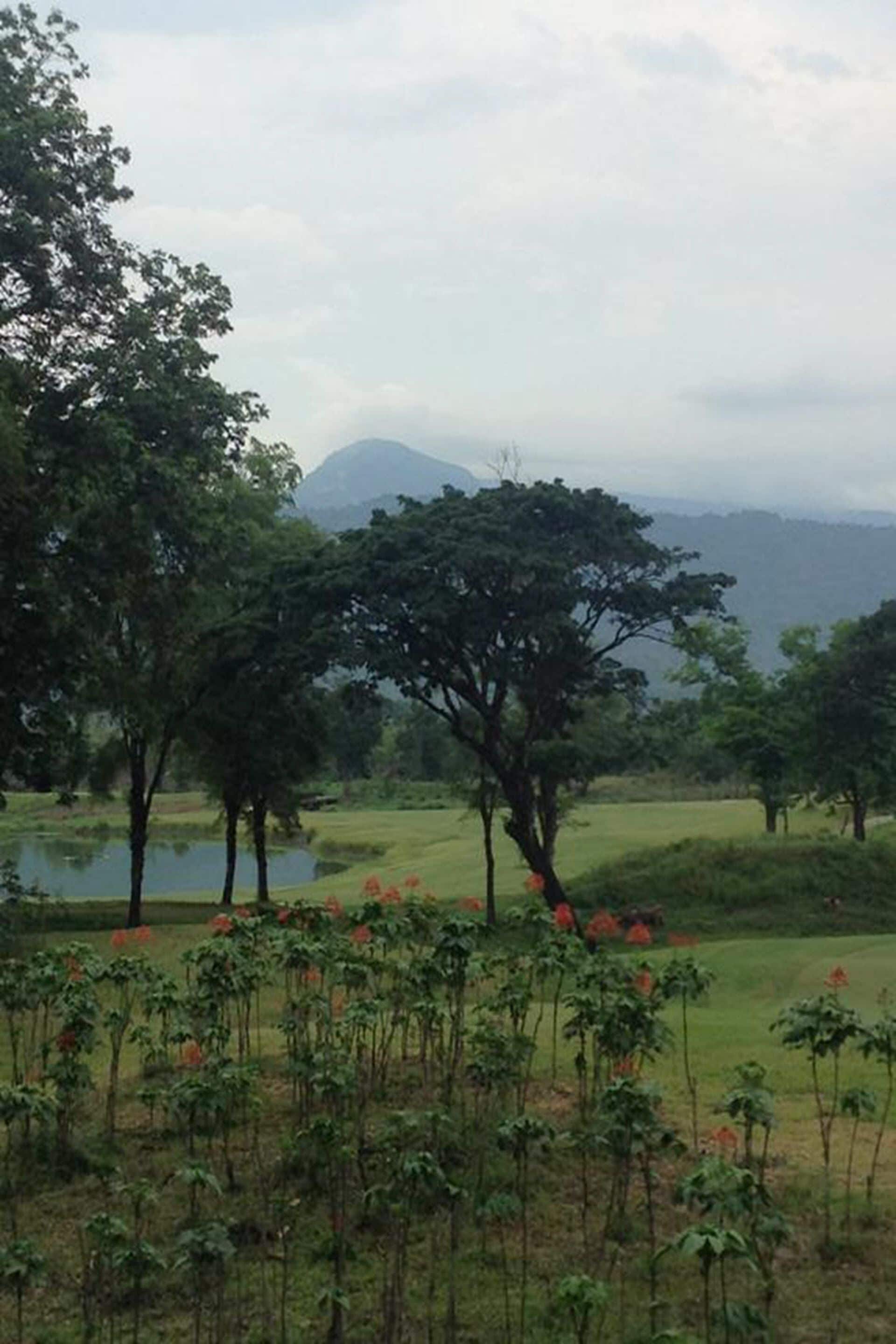 Vista desde la propiedad