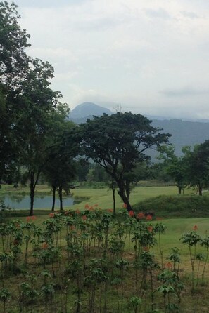 Vue depuis l’hébergement