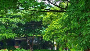 Jardines del alojamiento