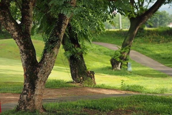 Property grounds - Uncle Jo Valley (Nakhon Nayok)