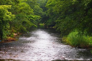 Vue depuis l’hébergement