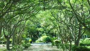 A pathway lined with trees in a park. - Uncle Jo Ranch (Pak Chong)
