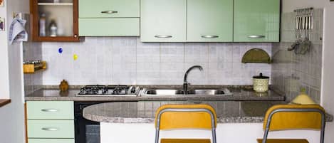 Fridge, oven, stovetop, cookware/dishes/utensils