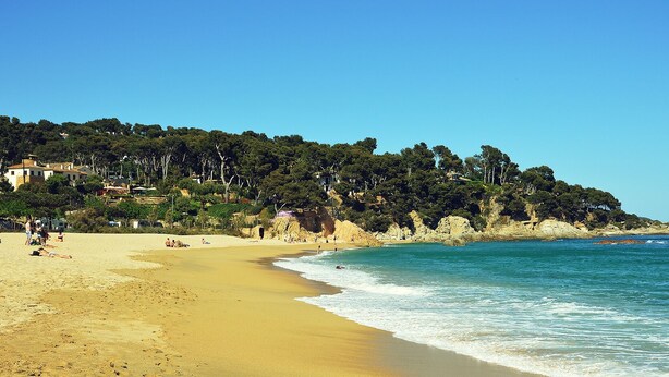 A beach with clear blue waters, sandy shore, and a forested hillside in the background. - APARTMENT IN SANT ANTONI DE CALONGE 17 METERS FROM THE BEACH (Sant Antoni de Calonge)