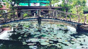 Un puente sobre un estanque con lirios, rodeado de vegetación y un edificio con techo verde.