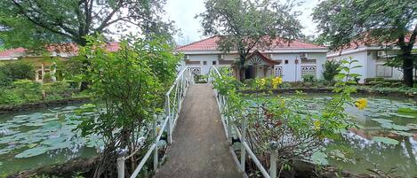 A bridge leading to a building with a red roof, surrounded by lush greenery and a pond with lily pads.
