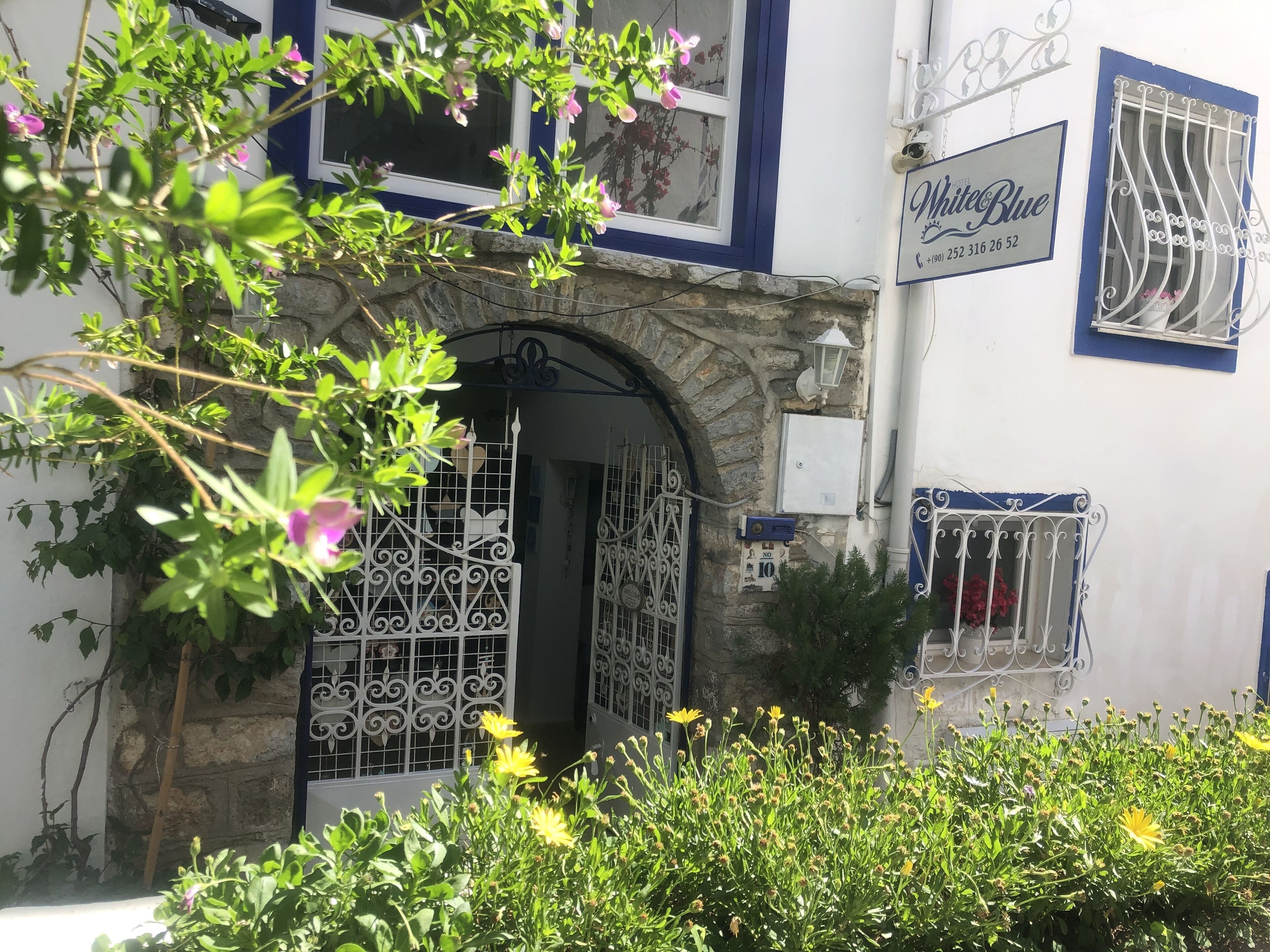 Photo - White and Blue Bodrum