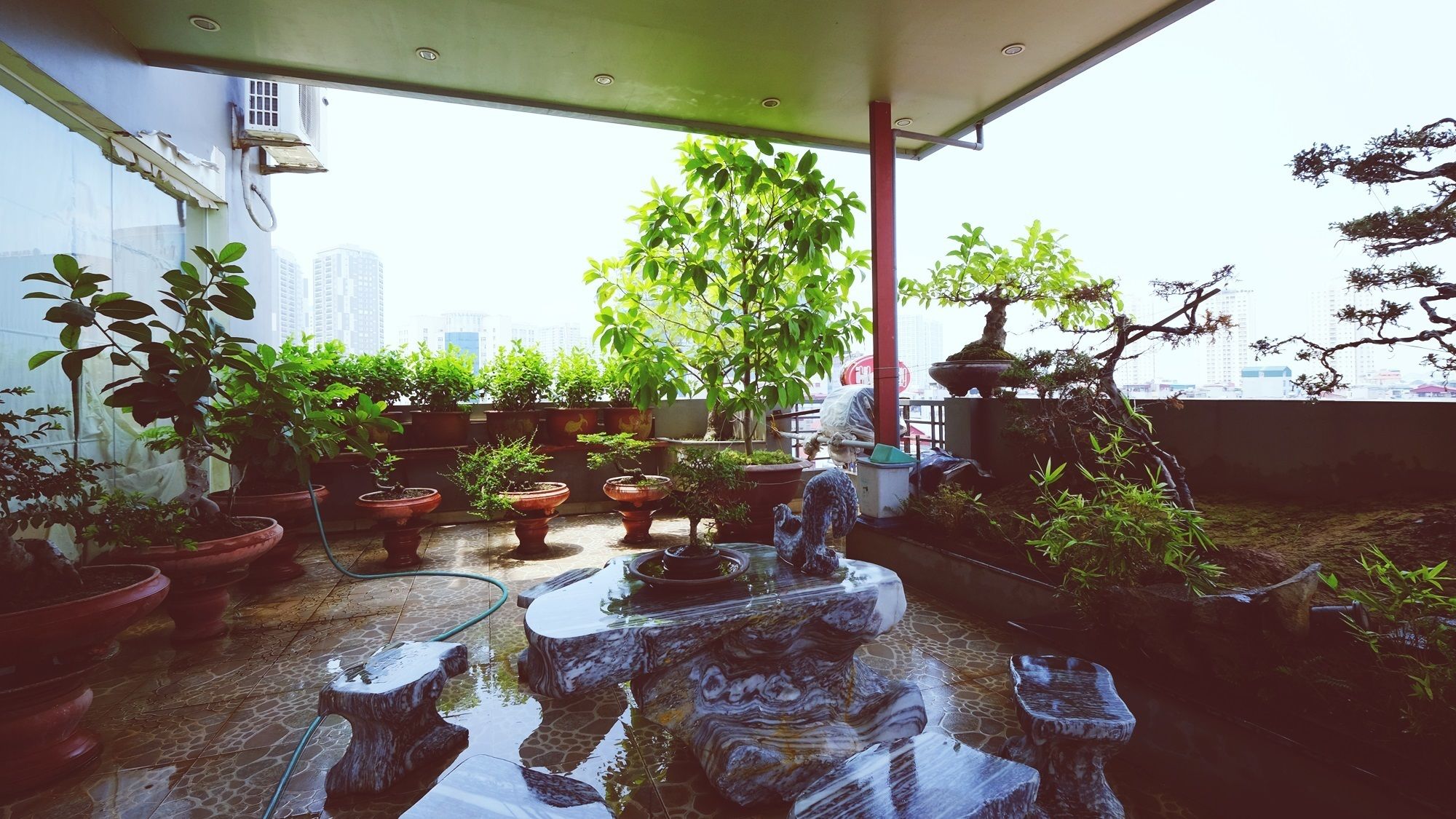 Vista desde la propiedad